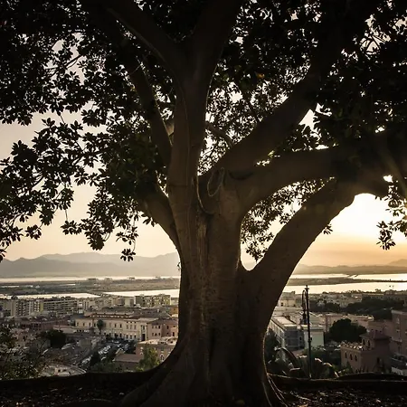 Nue Гостевой дом