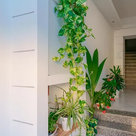 Гостевой дом Nue